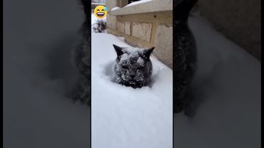 15 января 2026 г.