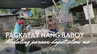 Madaling paraan kung paano katayin ang baboy
