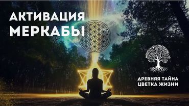 ПРОБУЖДЕНИЕ СВЕТОВОГО ТЕЛА: Практика активации Меркабы из Книги "Древняя Тайна Цветка Жизни"