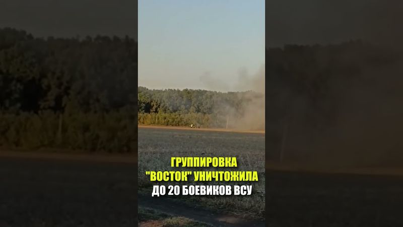 ГРУППИРОВКА «ВОСТОК» УНИЧТОЖИЛА ДО 20 БОЕВИКОВ ВСУ