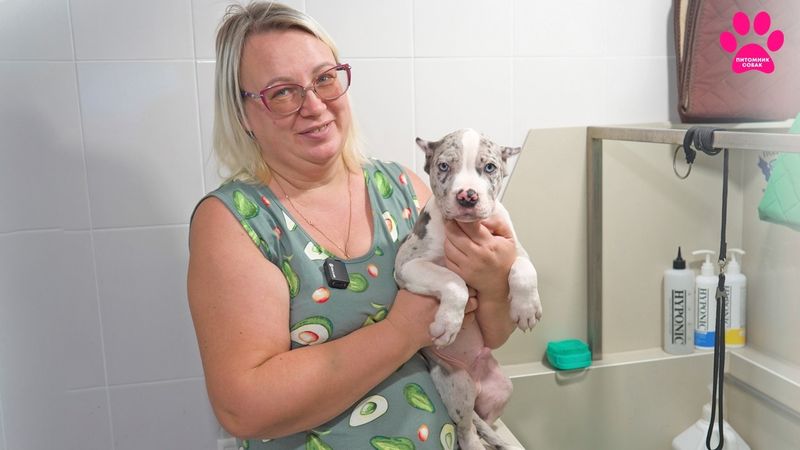 Рассылаем дорогих щенков по России!