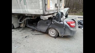 ТОРОПЫГИ СЕНТЯБРЬ 2019г.