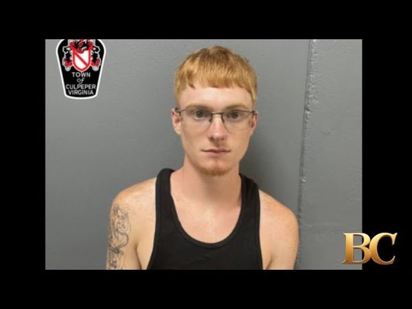 Man drove into crowd at Virginia “No Kings” protest, police say