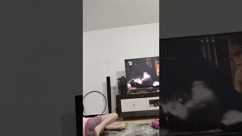 неожиданная встреча врагов