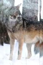 TikTok video #7060089302092434690