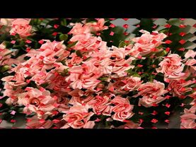 Ирина Аллегрова -  с Днём Рождения!