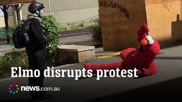 Person dressed as Elmo disrupts anti-ICE protest