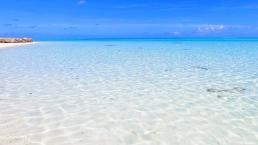 Matira Beach: The Clearest Ocean Water You Will Ever See In Your Life!