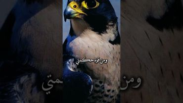 ٤ سبتمبر ٢٠٢٥