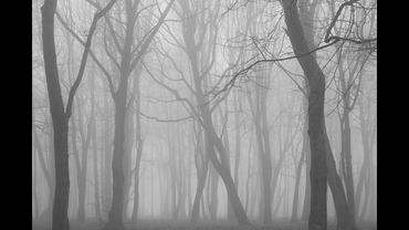 Страшные истории на ночь Что это вылезло из тумана Полная версия