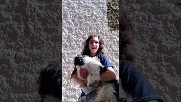 11 de agosto de 2025