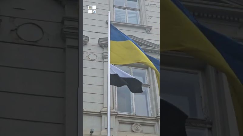 🤍 Прапор надії підняли біля Львівської облради