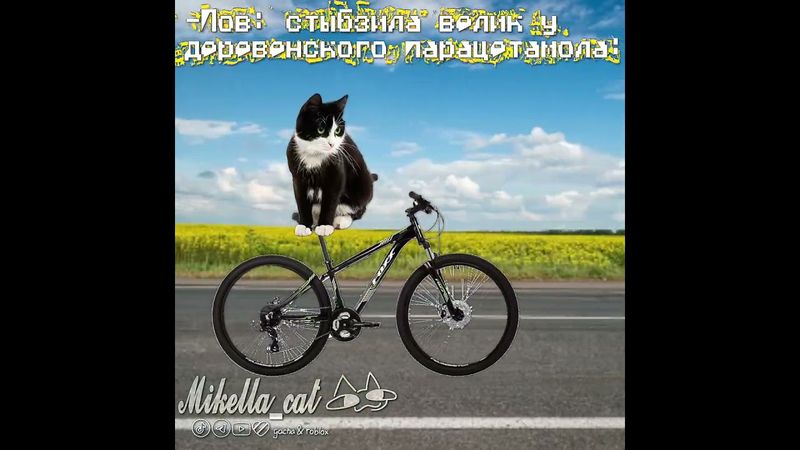 идея не моя🚽#умаляюзалети #cat #активнепадай #рек #teameork #микелла #мем #активприди #актив #Ыы #ت