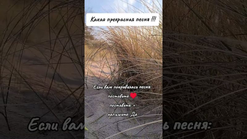 Какая прекрасная песня для вас ❤️❤️🤝👍🏼🙏🏼