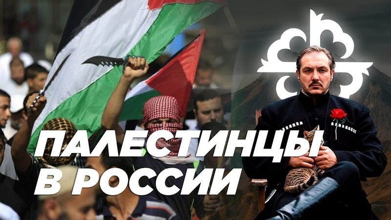 Приключения палестинцев в России \ чеченец - родновер