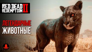 ЛЕГЕНДАРНЫЕ ЖИВОТНЫЕ в Red Dead Redemption 2 | RDR2