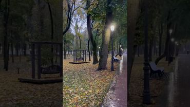 Такую осень вы не видели