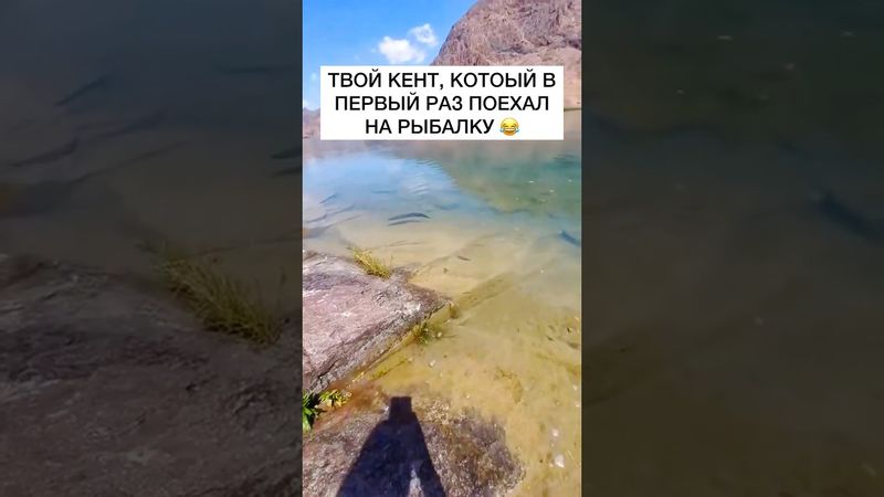 Ставь лайк 👍🏻 #рыбалка #рыбак #поплавок #рыба #улов #лещ #карп #карась #плотва #щука #судак #окунь