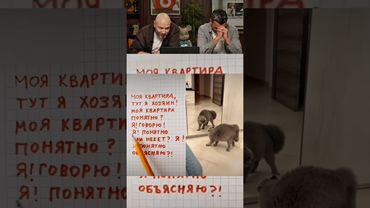 Разговор кота с хозяевами 🤣😱