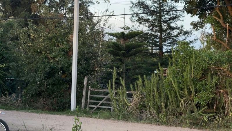 Scene outside home of former president of Uruguay Jose 'Pepe' Mujica after his death | AFP