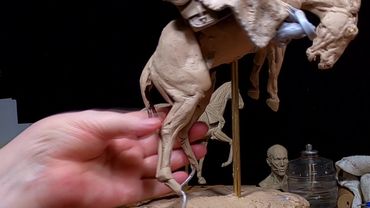 A BURR UNDER THE SADDLE BLANKET   I'm Going To Stick With My Current Horse