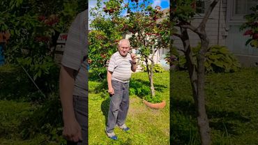 От Этой Песни Мороз по Коже!! #деревня #любовь #песня