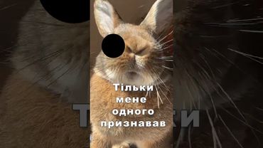 Уривок з п'єси "Діана" читає автор.