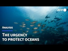 UN Ocean Conference: A turning point for the world’s oceans? | AFP