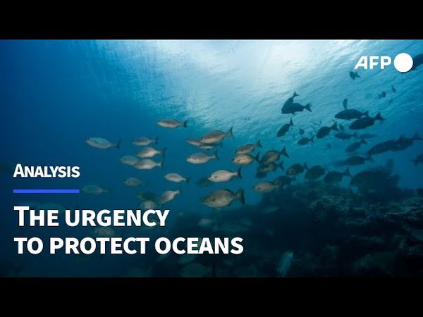 UN Ocean Conference: A turning point for the world’s oceans? | AFP