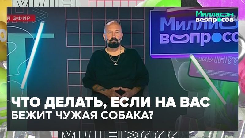 Что делать, если на вас бежит чужая собака? Кинолог отвечает на миллион вопросов
