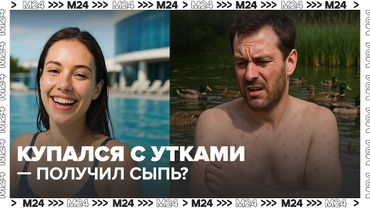 🚨 Церкариоз: чем опасно купание с утками? Лето 2025