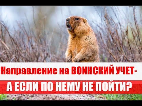ВЫДАЛИ НАПРАВЛЕНИЕ  на воинский учет - А ЕСЛИ НЕ ПОЙТИ? #армия #призыв #военкомат #мобилизация