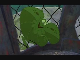 Frank Bianca e bernie nella terra dei canguri  LIBERO!