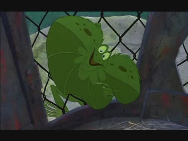 Frank Bianca e bernie nella terra dei canguri  LIBERO!