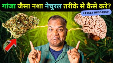 How Your Brain Makes Its Own Marijuana? बिना वीड के नशा? बॉडी खुद बनाती है अपना गांजा!