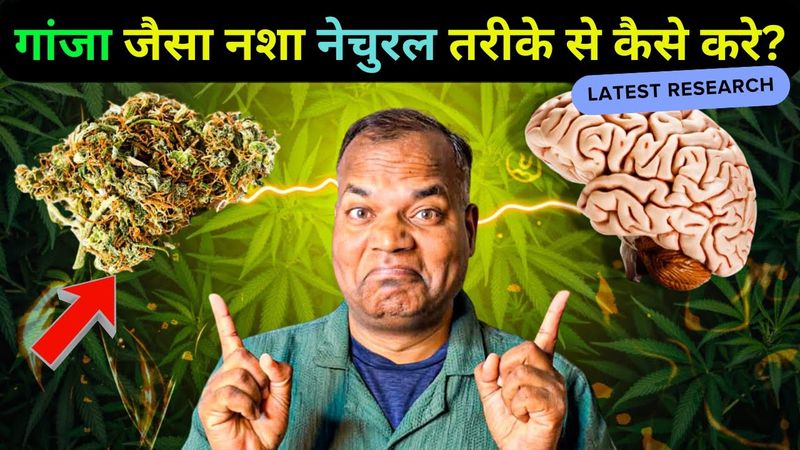 How Your Brain Makes Its Own Marijuana? बिना वीड के नशा? बॉडी खुद बनाती है अपना गांजा!