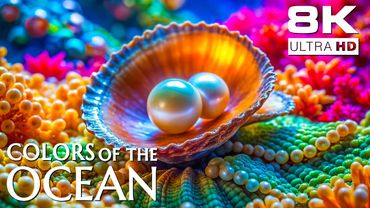 Ocean Beauty 8K – Crystal Clear Views of Coral Reefs and Sea Creatures