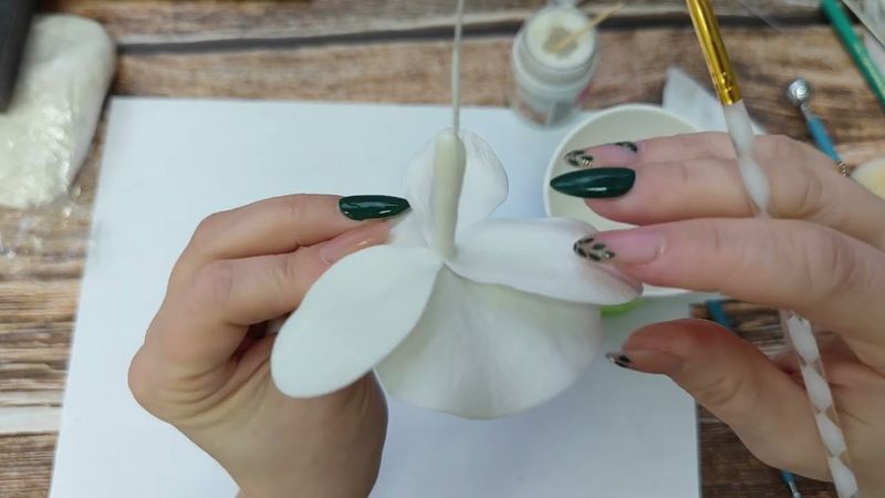 Ножки цветов и бутонов