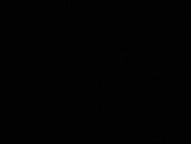 ❤️ . . . . . All rights reserved to & TV, Zee Anmol, and Zee Bioskop ...