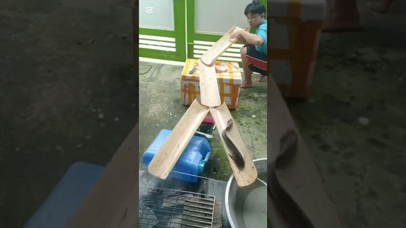 Struggle for survival🤣🤣🤣😂😂😂 #funnyvideo #funny #comedy