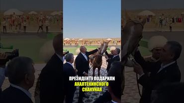 Президенту Азербайджана Ильхаму Алиеву преподнесен в дар ахалтекинский скакун
