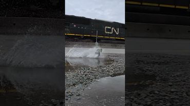 Dramatic RC Crash!! 😮 #rc #rccar #rccars #rcrally #rlaarlo #automobile