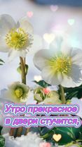 #хорошегонастроения #улыбнитесь #доброеутречко #хорошегодня
