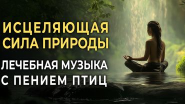 111гц Божественный свет природы + Звуки Леса и птиц 🌿 Глубокая музыка для сна, исцеления и отдыха