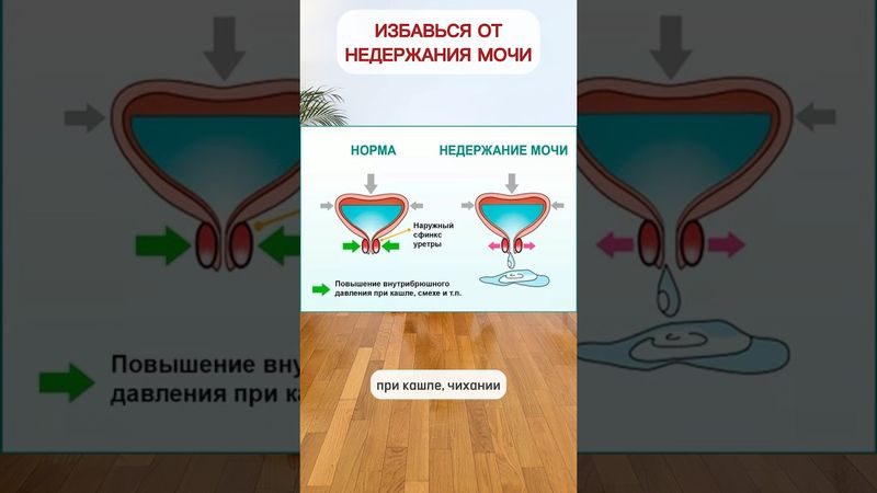 ПРОСТОЕ упражнение от недержания мочи в любом возрасте