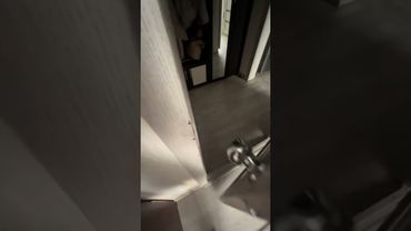 Нападение кота #комментарии Автор: _littlee_puff