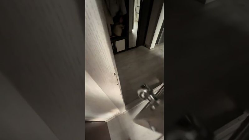 Нападение кота #комментарии Автор: _littlee_puff