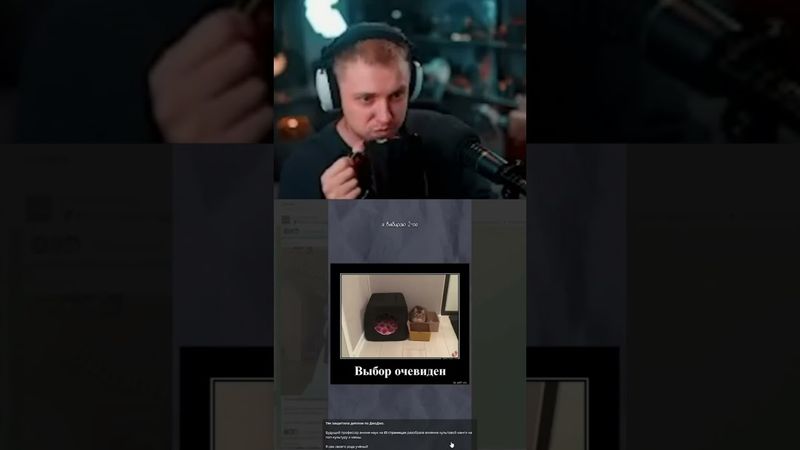 диплом по ДжоДжо #стинт #stint #stintik #прикол #реакция