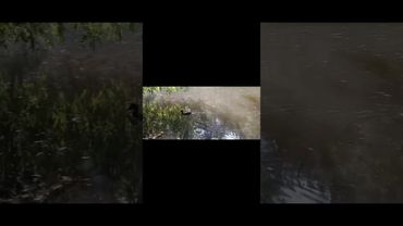 Тварина залишилася на даній стадії розвитку, а ми розвивалися далі. І що з цього?