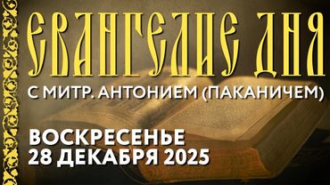 Толкование Евангелия с митр. Антонием (Паканичем). Воскресенье, 28 декабря 2025 года.